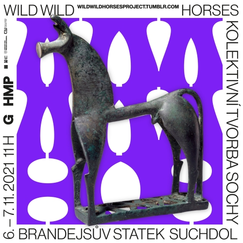 Vladimír Turner: Wild Wild Horses